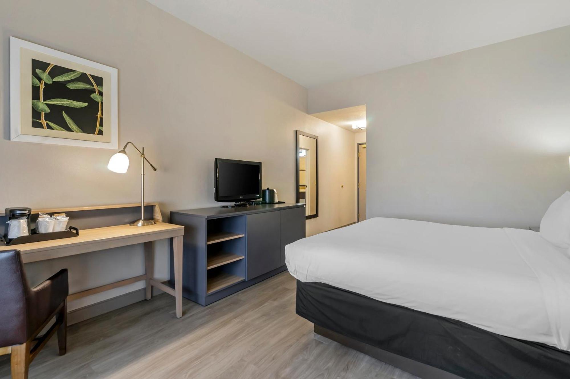 Country Inn & Suites By Radisson, Tampa Airport North, Fl المظهر الخارجي الصورة